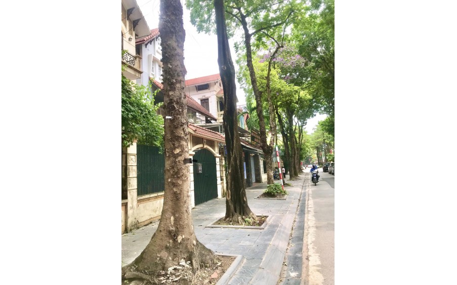 Chính chủ nhờ bán Biệt Thự Thọ Tháp 145m2, sổ đỏ chính chủ đang cất két, giá thương lượng có ra lộc.